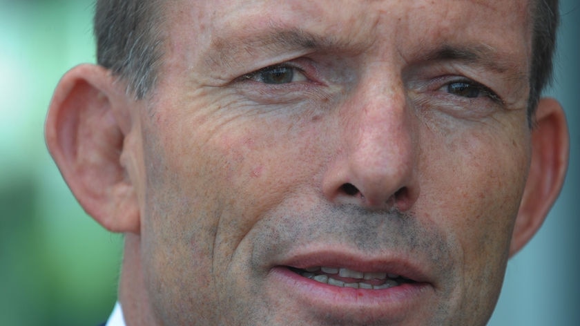 'I don't like higher taxes': Tony Abbott