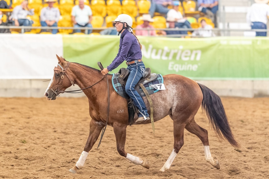 A young girl in a purple shirt rides a horse in a ring.