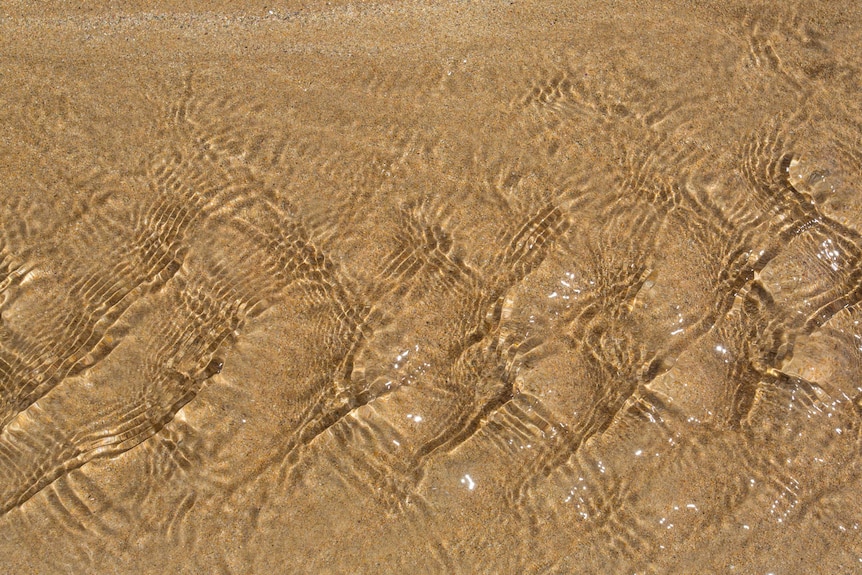 The tide washes out on a sandy beach