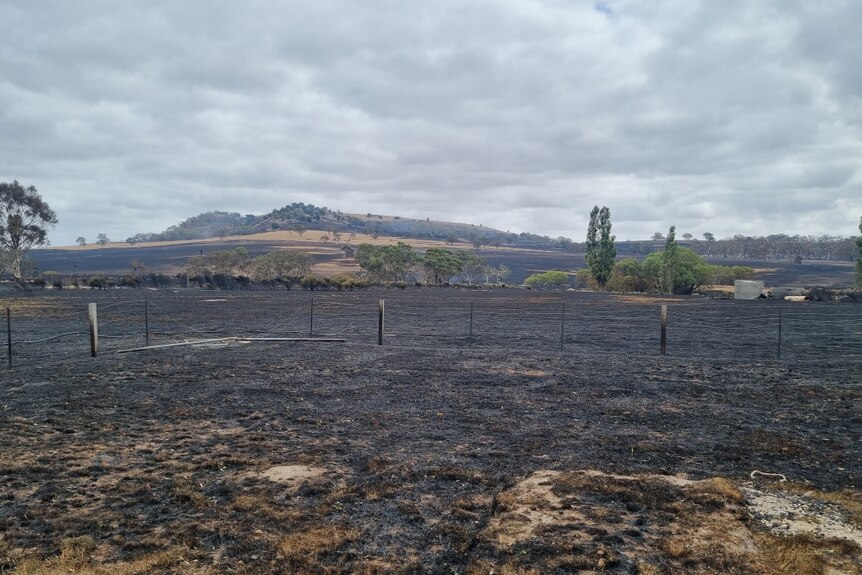 A landscape picture shows burnt flat lands in the foreground and burnt mountains behind. 
