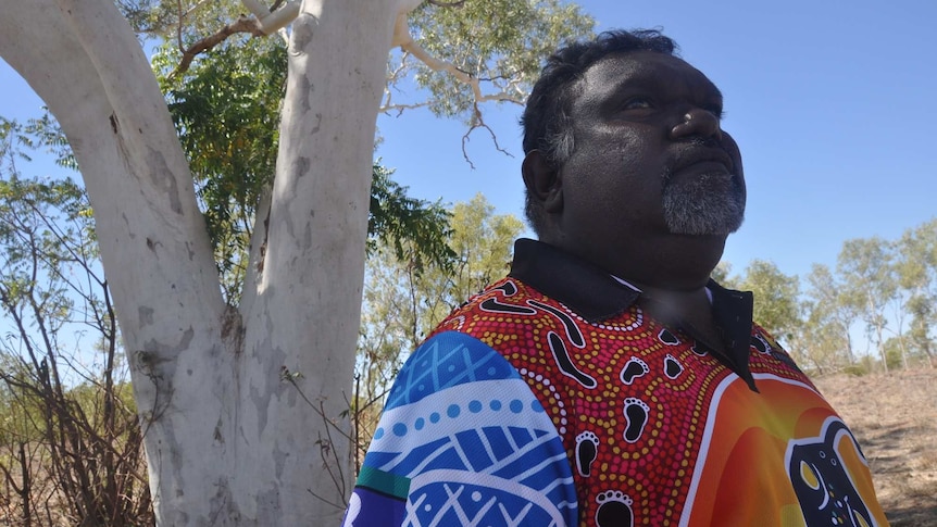 Rob Roy stands in front of a eucalyptus tree and looks into the distance.