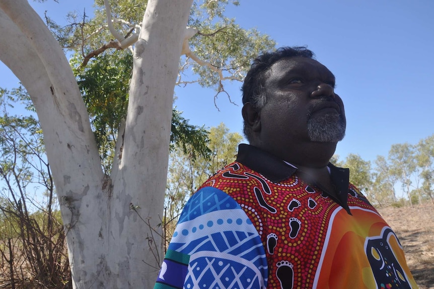 Rob Roy stands in front of a eucalyptus tree and looks into the distance.