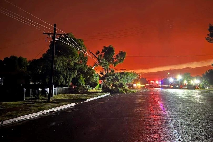 emergency vehicles attend a power line with a tree bringing it down. Red sky