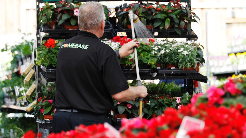 A sales assistant waters plants at a Homebase store in Aylesford.