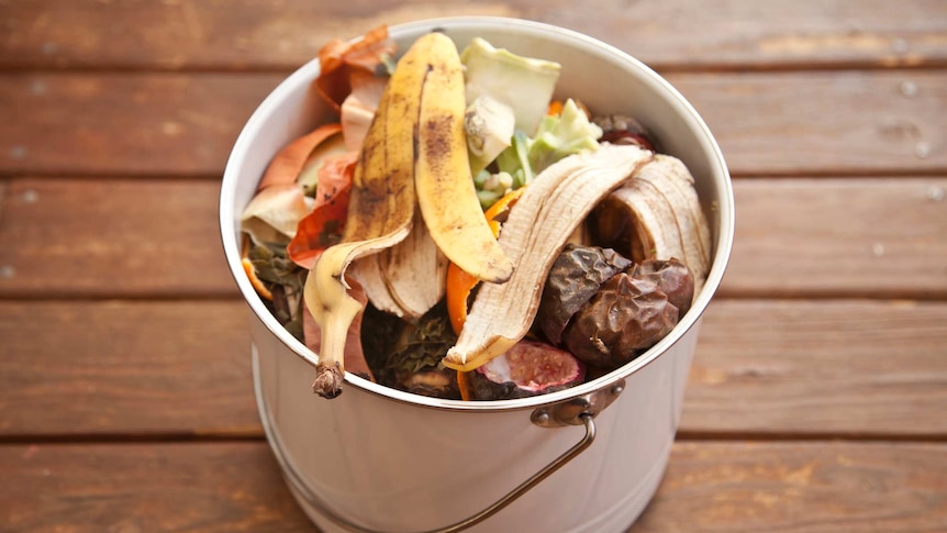 Close up of a food scrap bucket