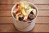 Close up of a food scrap bucket