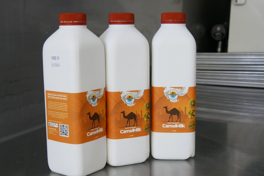 Three bottles of camel milk sitting on a bench