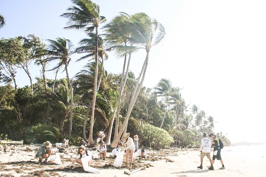 People with bags pick up rubbish on a beach with trees behind them