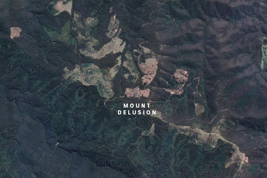 A satellite image showing large logged areas around the forested hills of Mt Delusion