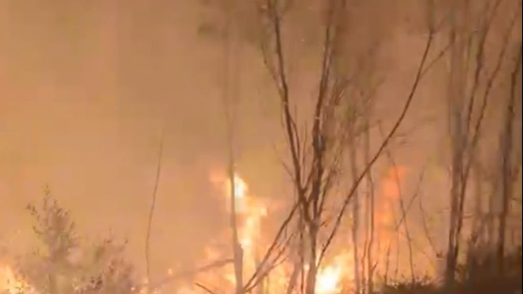 Play Video. Duration: 11 seconds