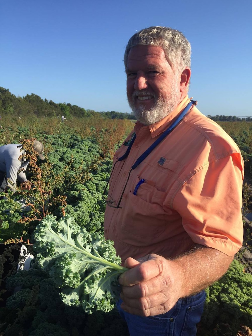 Farmer Hank Scott holds kale.
