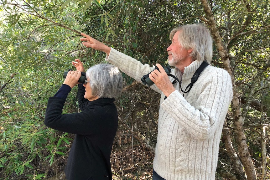 An elderly man points to something in the distance as an elderly woman holds binoculars to her face.
