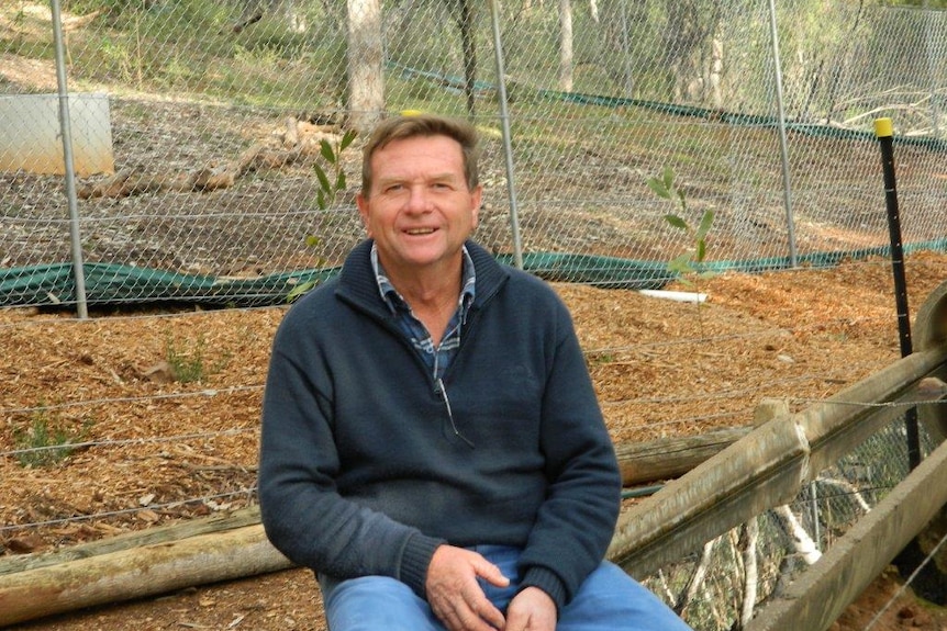 Jim Griffiths sitting near a wattle tree in Grenfell