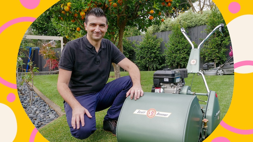 A man kneels down next to a 50-year-old cylinder lawn mower in a suburban backyard with orange tree in background and lawn