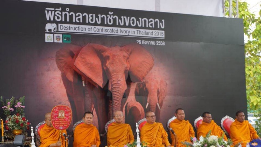 Monks at a ceremony to mark the destruction of two tonnes of illegal elephant ivory