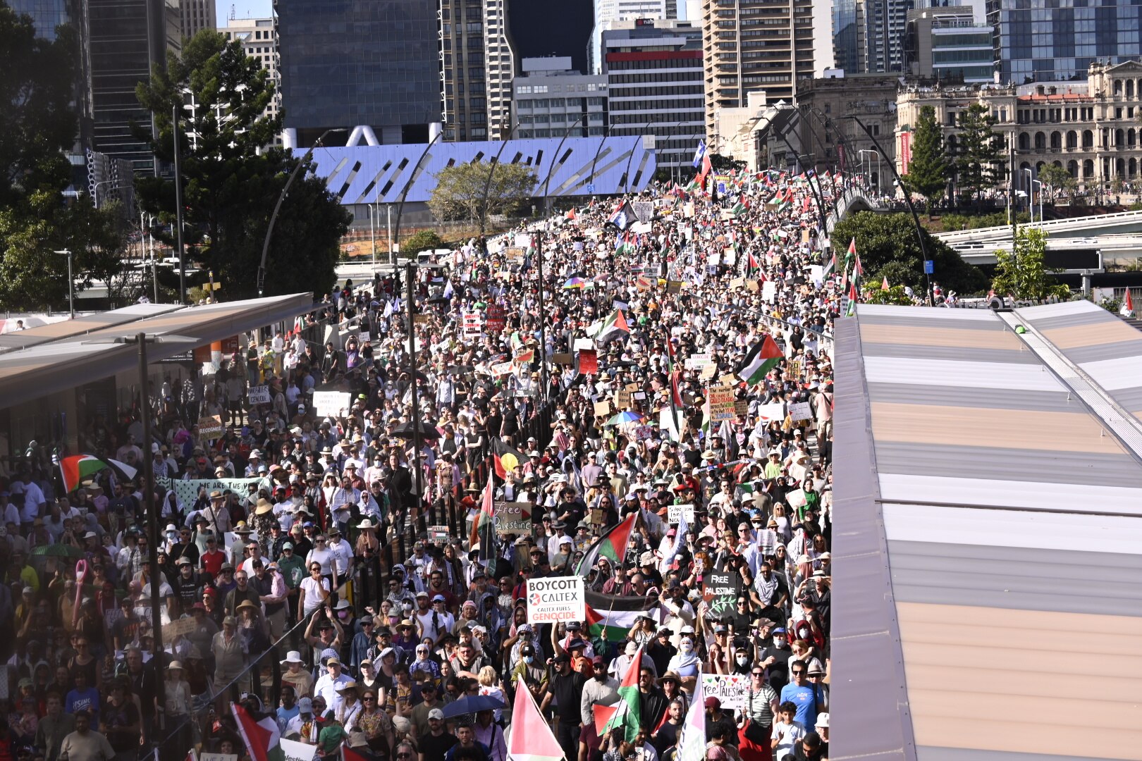 palestine rally 3