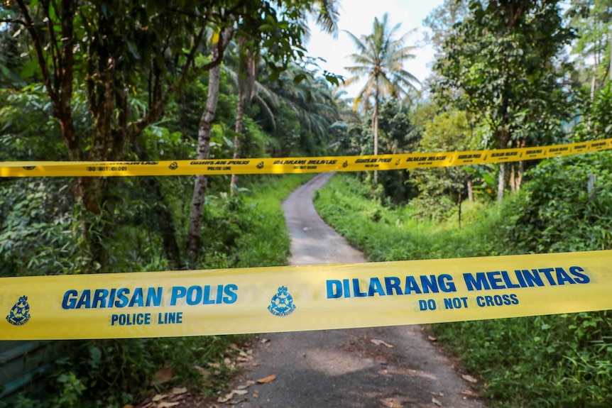 A pathway into a tropical forest with police tape strung across the foreground