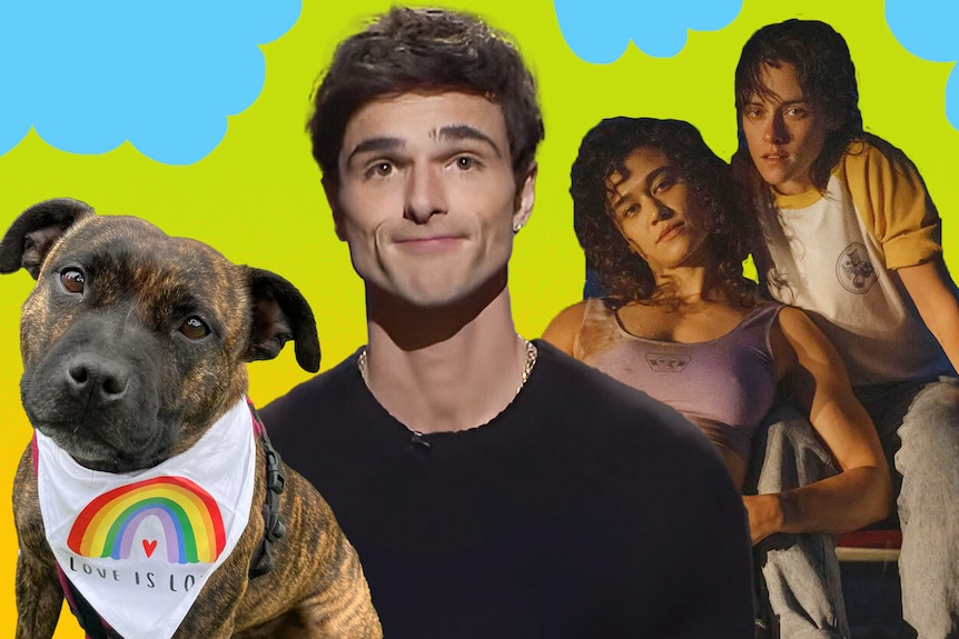A collage of brown staffy wearing a 'love is love' hankerchief; Jacob Elordi, plus Katy O'Brien and Kristen Stewart.
