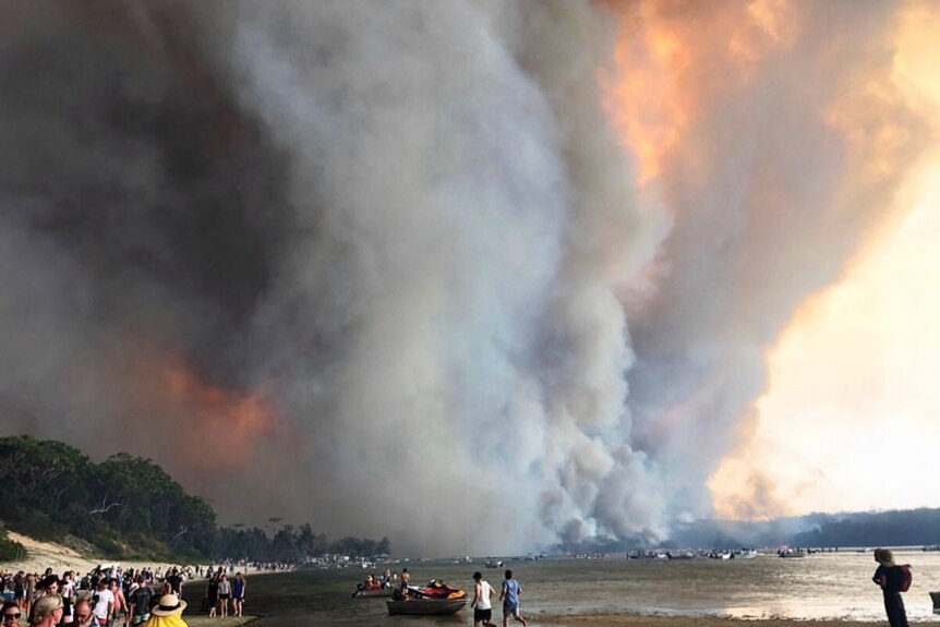 Plumes of smoke rise in the background of a lake, where hundreds of people are gathered near the shore.