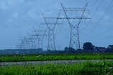 A seemingly never-ending series of huge power pylons stretching through green fields and off into the distance.
