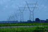 A row of high-voltage transmission lines.