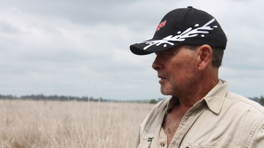 A man is pictured from the side, he is wearing a beige shirt and a black cap in a farm paddock.