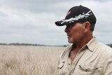 A man is pictured from the side, he is wearing a beige shirt and a black cap in a farm paddock.