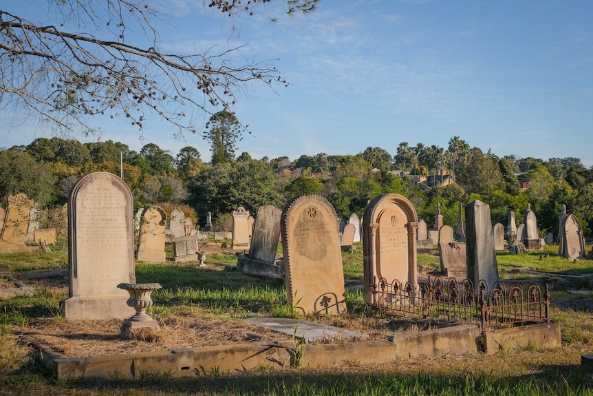 A line of old grave stones at Rookwood Cemetery.