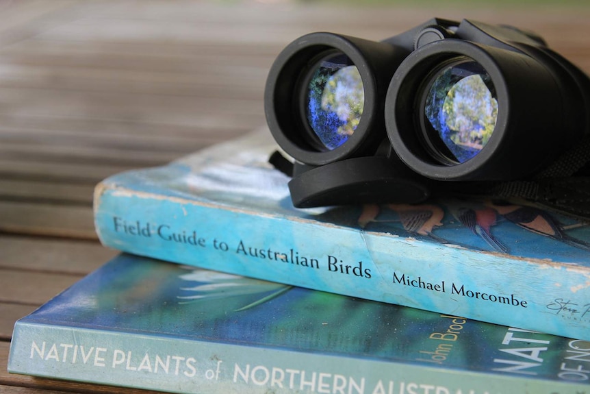 A photo of some binoculars stacked onto two birdwatching books.