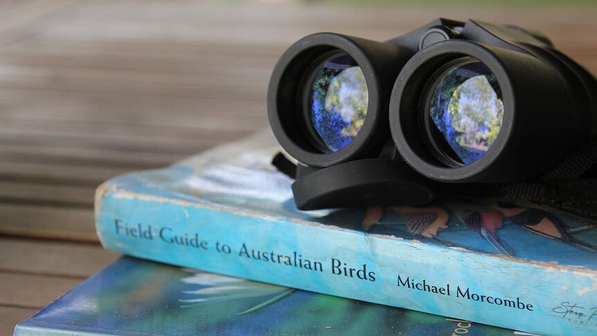 A photo of some binoculars stacked onto two birdwatching books.