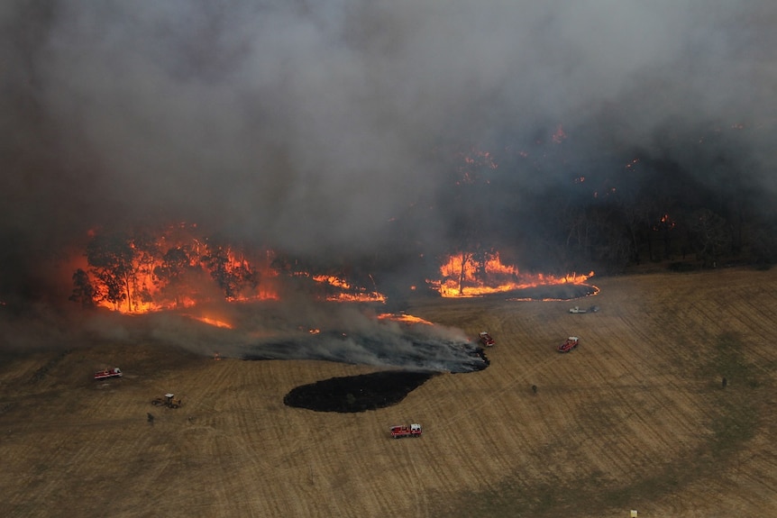 A helicopter view of a paddock shows red fire trucks driving ahead of an orange wall of flames.