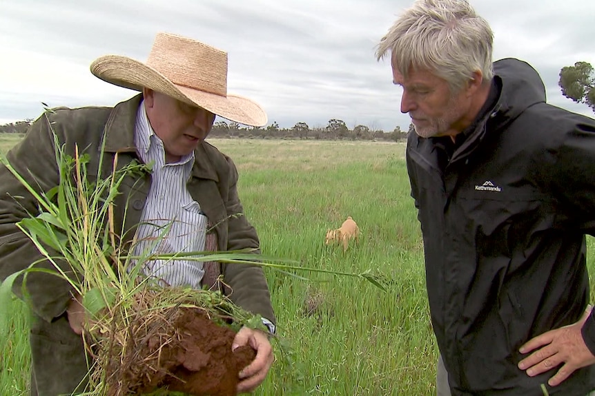 Photo of a man holding grass with another man looking.