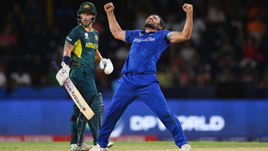 Gulbadin Naib celebrates taking an Australian wicket.