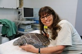 Taronga Zoo nursing injured marine animals