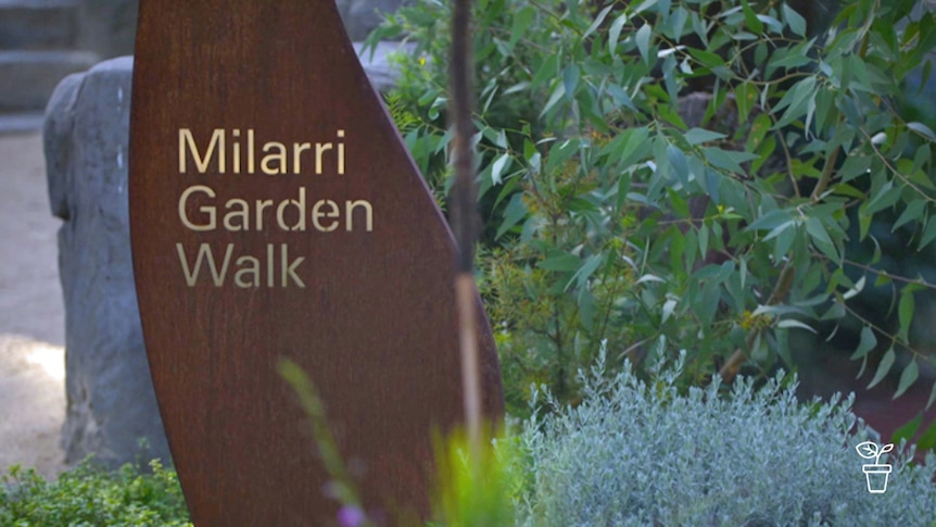 Bush garden with sign 'Milarri Garden Walk' on path edge