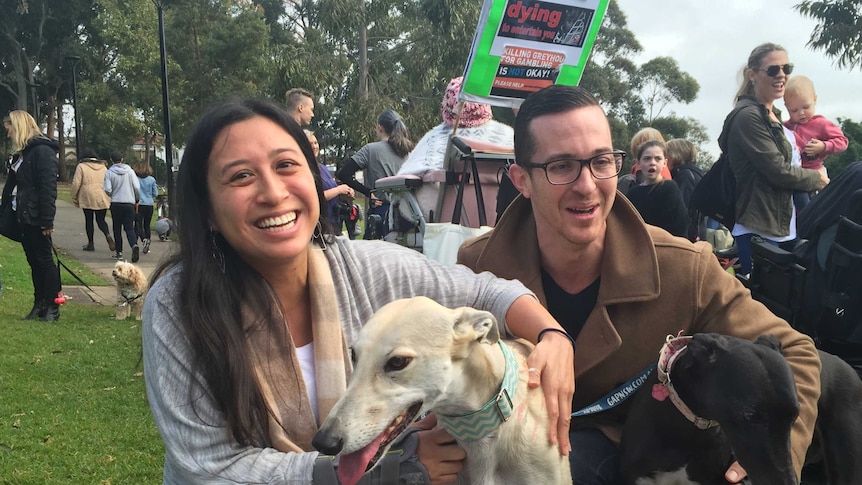 Sydney greyhounds rally