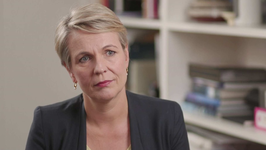 Tanya Plibersek wears a dark suit jacket.