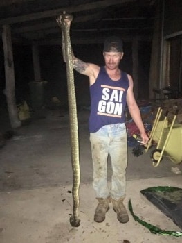 A family friend holds the 3-metre snake after it was killed.