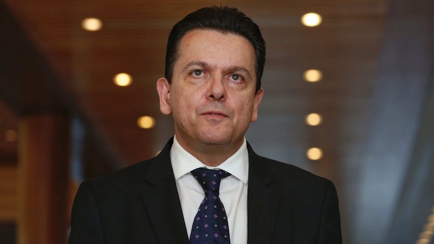 Independent Senator Nick Xenophon addresses the media at Parliament House, Canberra.