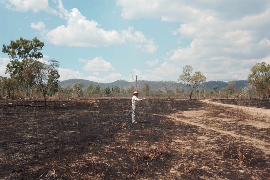 A man looking at a burnt out empty paddock with some trees in distance.