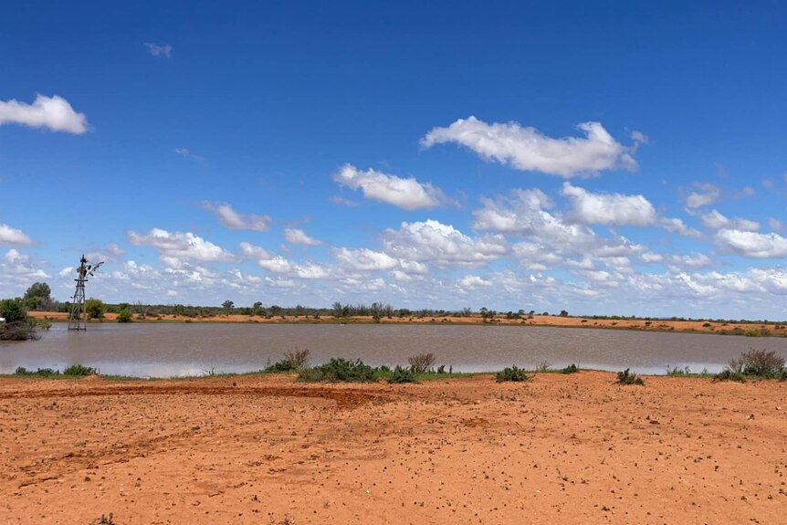 A dam full around a desert background with a blue sky