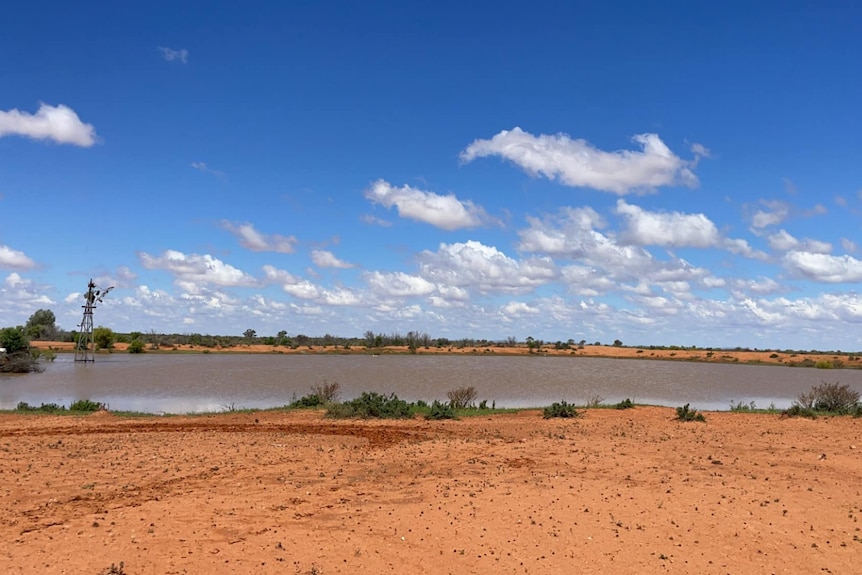 A dam full around a desert background with a blue sky