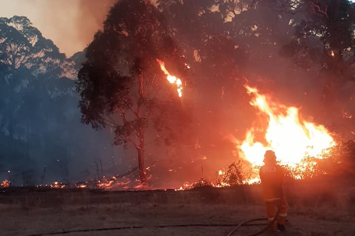 A firefighter points a hose at a bushfire near Hepburn.