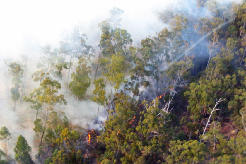 Fire burns through bushland, creating lots of smoke, in northern Tasmania