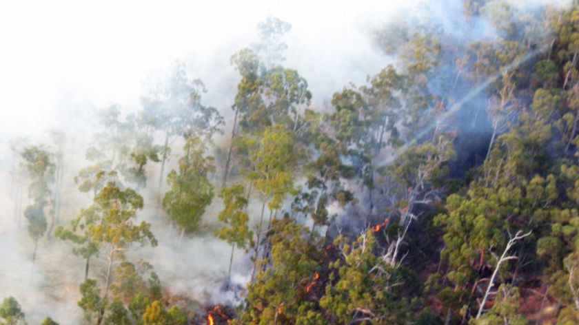 Fire burns through bushland, creating lots of smoke, in northern Tasmania