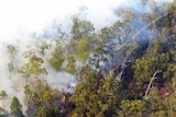 Fire burns through bushland near York Town