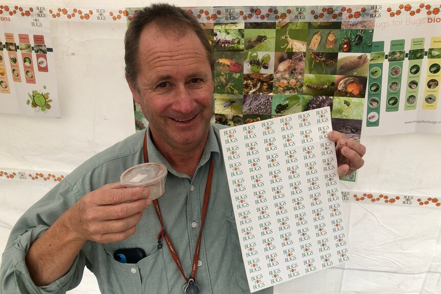 A man holds up a sheet of carboard and a small container containing insects.