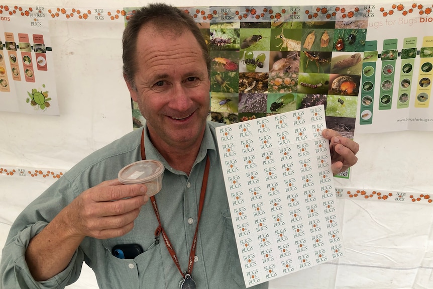 A man holds up a sheet of carboard and a small container containing insects.