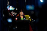 shadowed silhouettes around woman in green shirt and black blazer speaking at a lectern