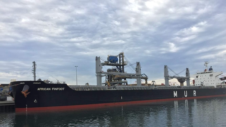 Large ship African Finfoot with cranes and towers sits low in the water at Port Kembla